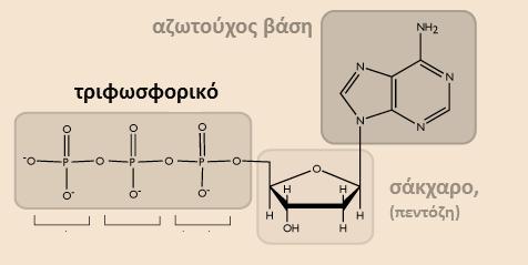 ΕΙΚΟΝΑ_1.