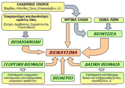 Κεφάλαιο 2 Ανανεώσιµες Πηγές ενέργειας Η σύγχρονη βιοµάζα χρησιµοποιείται για την παραγωγή ενέργειας και θερµότητας σε εγκαταστάσεις µεγάλης κλίµακας.