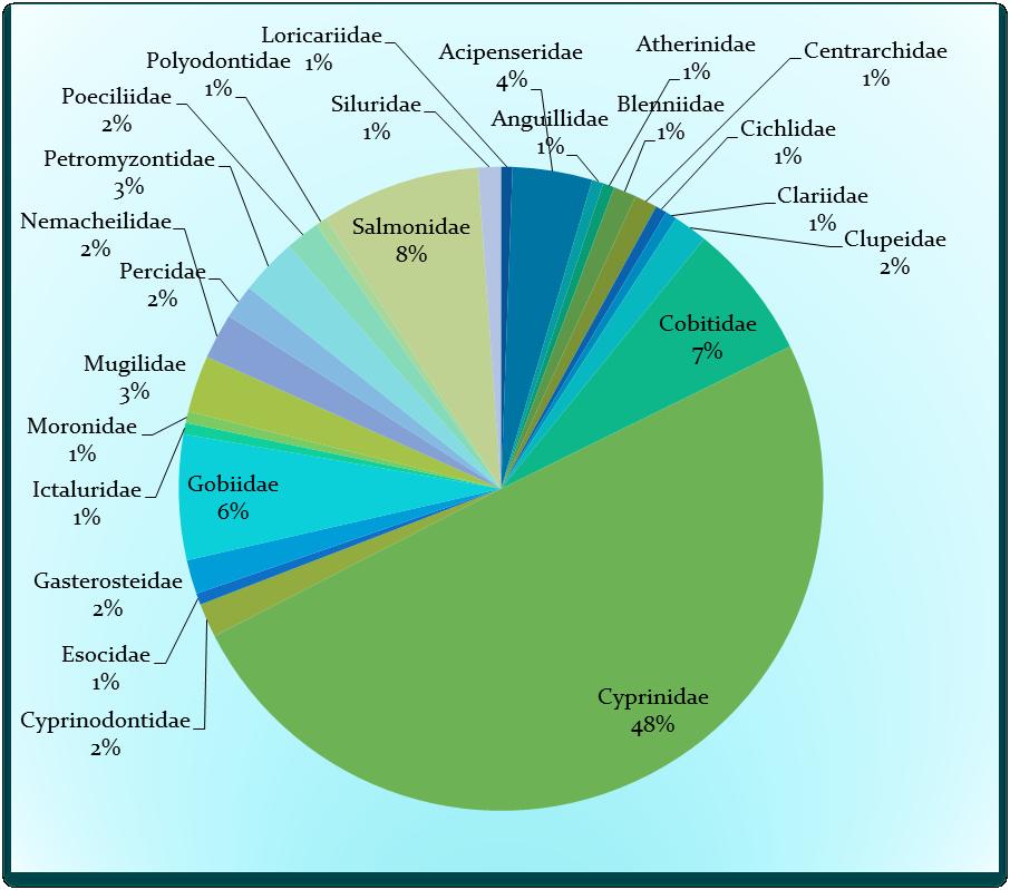 Η Ιχθυοπανίδα της Ελλάδας Εσωτερικά νερά 27 οικογένειες Πολυπληθέστερη η οικογένεια των Cyprinidae (48%)