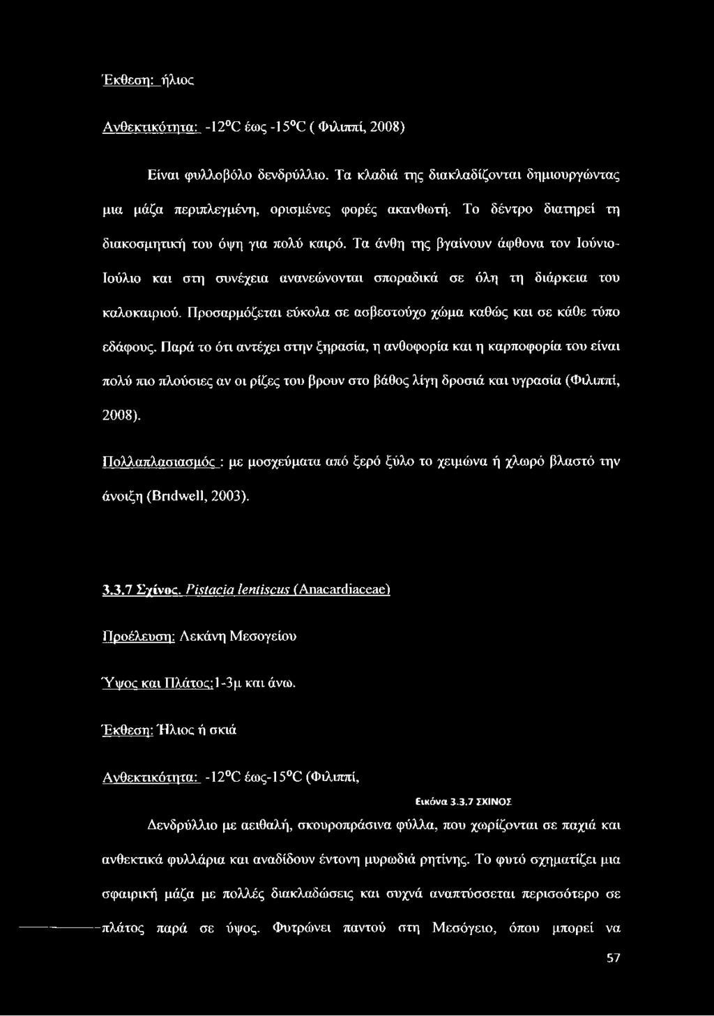 Προσαρμόζεται εύκολα σε ασβεστούχο χώμα καθώς και σε κάθε τύπο εδάφους.