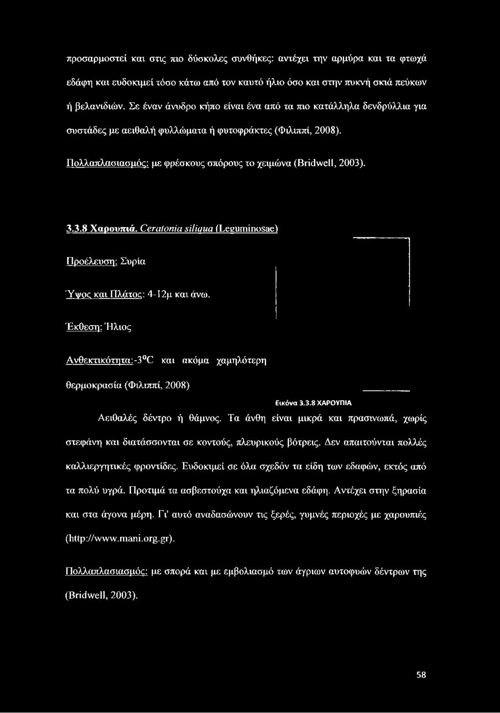 Πολλαπλασιασμός: με φρέσκους σπόρους το χειμώνα (Bridwell, 2003). 3.3.8 Χαρουπιά. Ceratonia siligua ÍLeguminosae) Προέλευση: Συρία Ύψος και Πλάτος: 4-12μ και άνω.