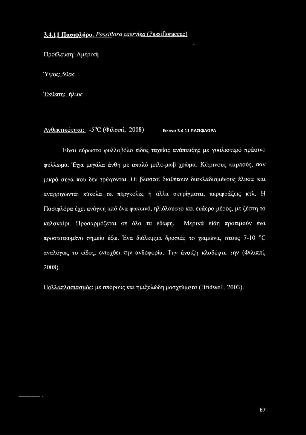 11 ΠΑΣΙΦΛΟΡΑ Είναι εύρωστο φυλλοβόλο είδος ταχείας ανάπτυξης με γυαλιστερό πράσινο φύλλωμα. Έχει μεγάλα άνθη με απαλό μπλε-μωβ χρώμα.