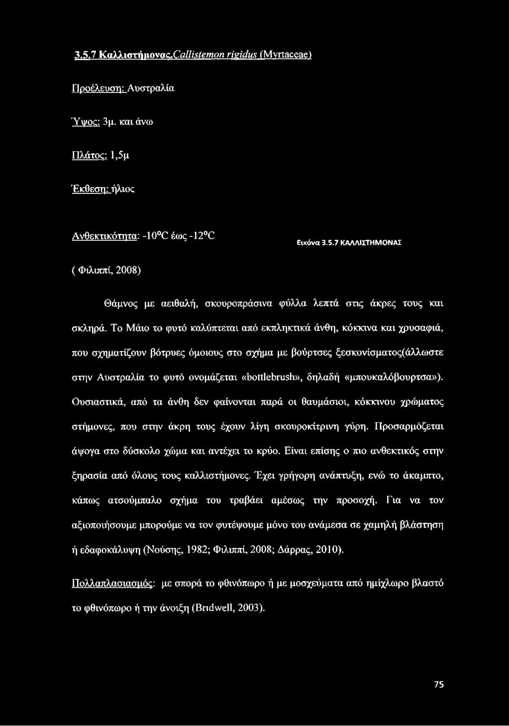 «όοίίΐεύηιείι», δηλαδή «μπουκαλόβουρτσα»). Ουσιαστικά, από τα άνθη δεν φαίνονται παρά οι θαυμάσιοι, κόκκινου χρώματος στήμονες, που στην άκρη τους έχουν λίγη σκουροκίτρινη γύρη.