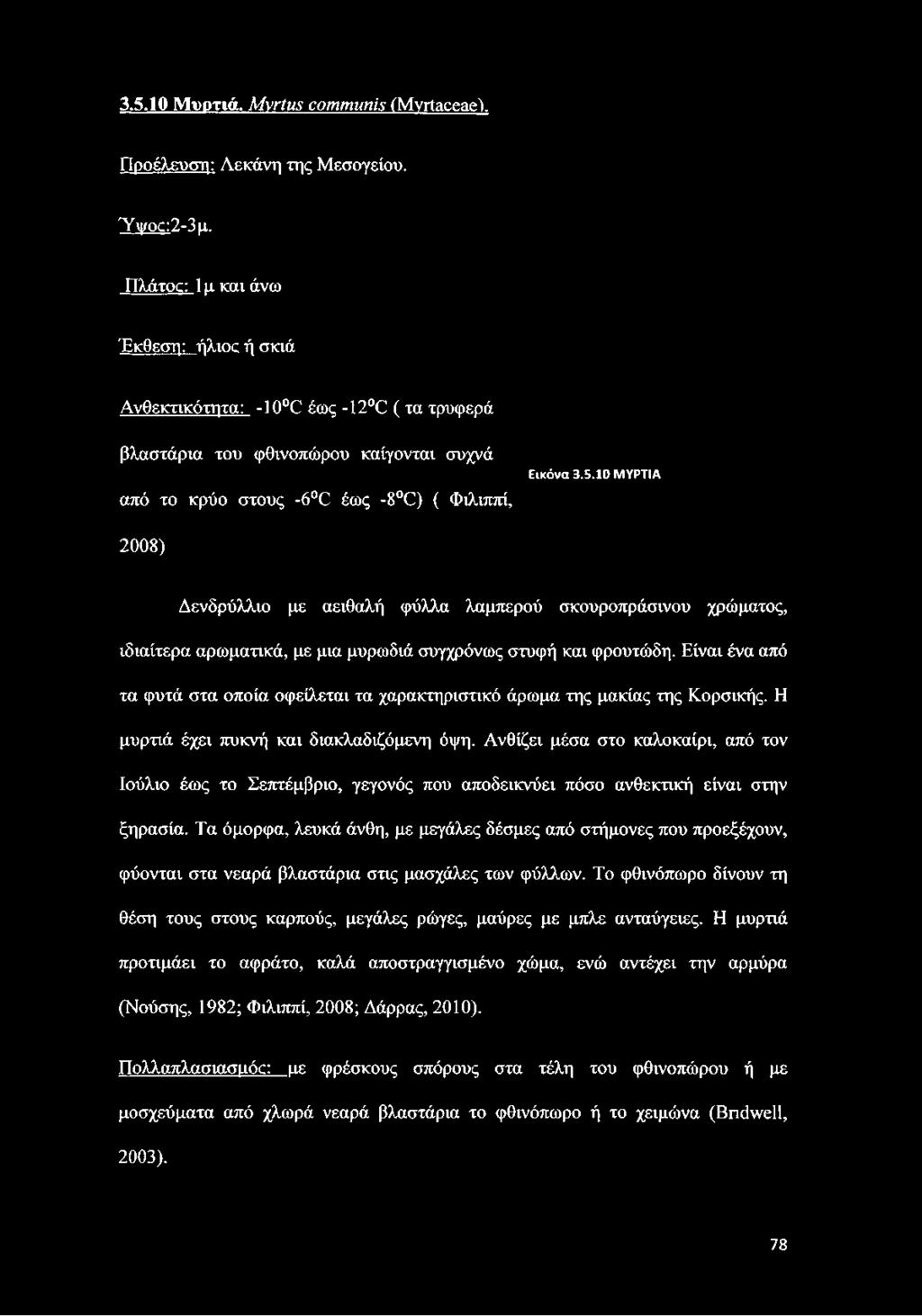 10 ΜΥΡΤΙΑ 2008) Δενδρύλλιο με αειθαλή φύλλα λαμπερού σκουροπράσινου χρώματος, ιδιαίτερα αρωματικά, με μια μυρωδιά συγχρόνως στυφή και φρουτώδη.