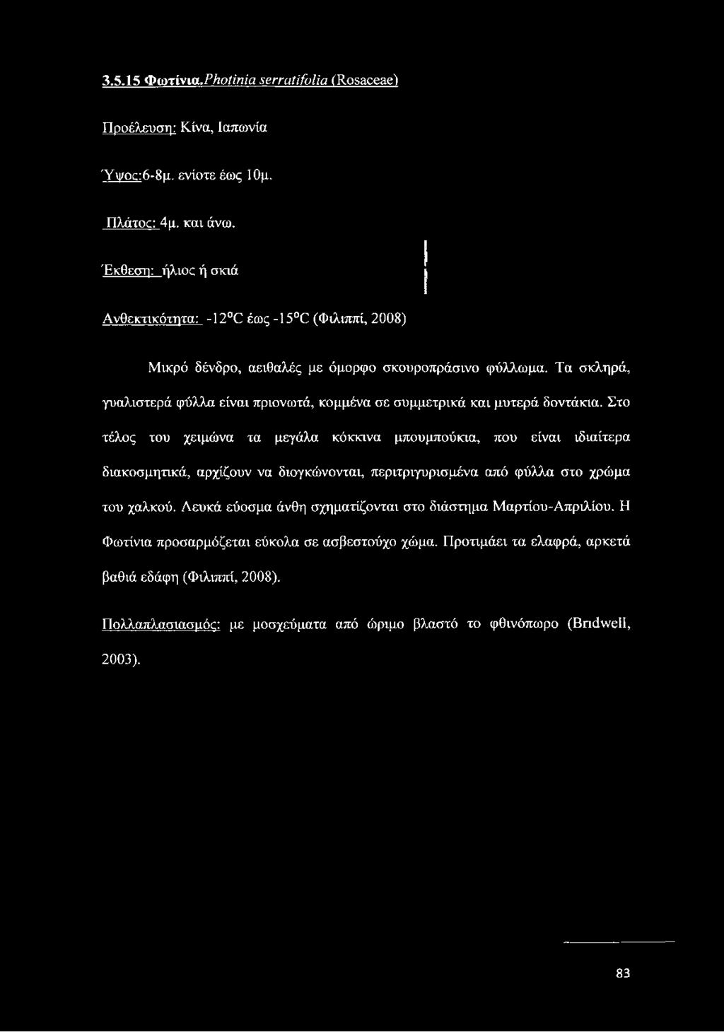 Τα σκληρά, γυαλιστερά φύλλα είναι πριονωτά, κομμένα σε συμμετρικά και μυτερά δοντάκια.