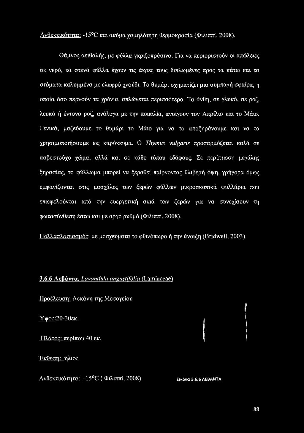 Το θυμάρι σχηματίζει μια συμπαγή σφαίρα, η οποία όσο περνούν τα χρόνια, απλώνεται περισσότερο. Τα άνθη, σε γλυκό, σε ροζ, λευκό ή έντονο ροζ, ανάλογα με την ποικιλία, ανοίγουν τον Απρίλιο και το Μάιο.