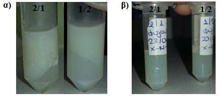 Εικόνα 39. Φωτογραφία των γαλακτωμάτων των δύο αναλογιών χωρίς UV-φίλτρα αμέσως μετά τη φυγοκέντρηση: α) συμβατικά γαλακτώματα με διαχωρισμό φάσεων, β) νανογαλακτώματα σταθερά 6.2.