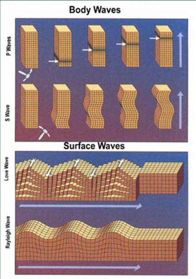 Επιφανειακά κύματα Τα επιφανειακά κύματα παράγονται κοντά στην επιφάνεια της Γης, επειδή οι ελαστικές ιδιότητες του φλοιού διαφέρουν σημαντικά από