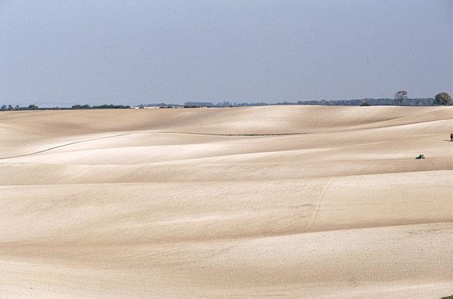 Species richness Συσχέτιση της μείωσης της ποικιλότητας σε επίπεδο ειδών ορνιθοπανίδας με