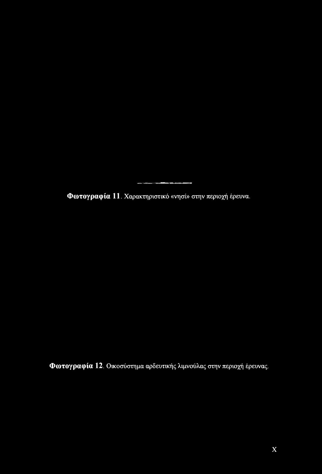 Φωτογραφία 11. Χαρακτηριστικό «νησί» στην περιοχή έρευνα.