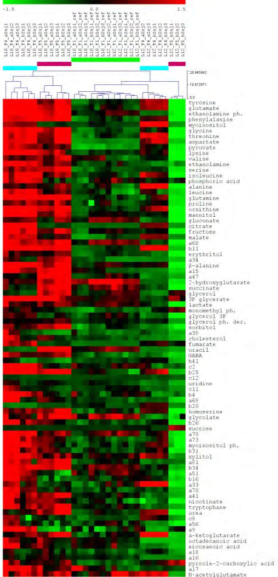 112 β) Ιεραρχικι υςταδοποίθςθ (HCl) Μετρική απόςταςησ: Ευκλείδεια Standardized elative Peak Areas (stpas) L10 T1 L12 α) φγκριςθ ςυνκθκών των βιοαντιδραςτιρων L10 και L12 γ) Ανάλυςθ Κφριων υνιςτωςών