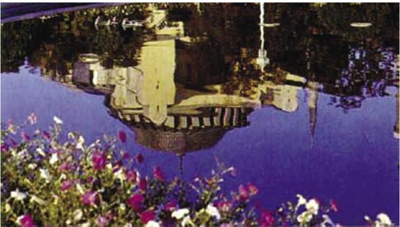 Τσελεμπή φαίνεται καθαρό μυθιστόρημα όσον αφορά την συνθήκη φιλίας του Παλαιολόγου με τον Μωάμεθ) που να υποστηρίζει ότι υπάρχει συνυπευθυνότητα του Βυζαντινού Βασιλιά.