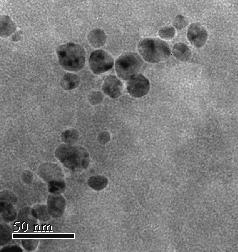 In particular aggregates of metal oxides, mainly TiO 2, and polyoxometallates (POM) mainly of W, are used in thermal and photochemical reactions for: (a) Water splitting (hydrogen production), (b)