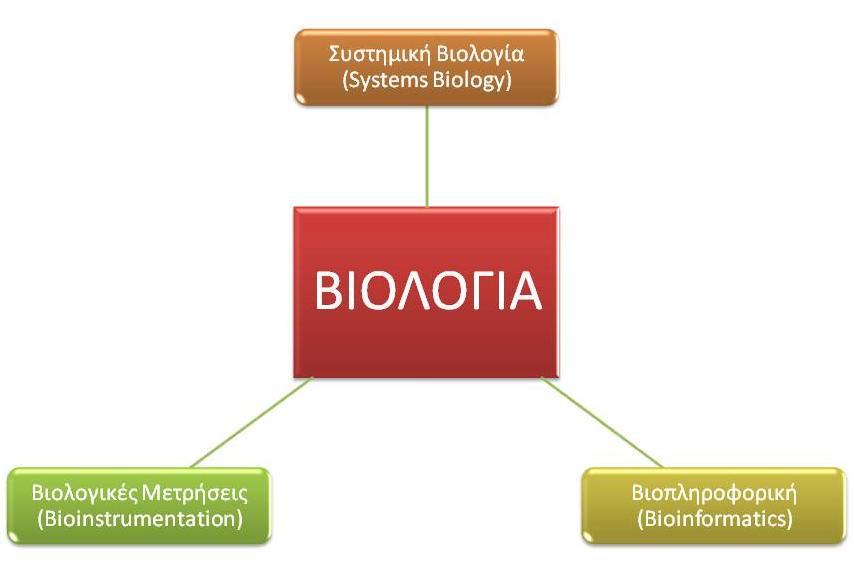 1.2 Βιολογική Μηχανική (Biological Engineering) Ο κλάδος της βιολογικής μηχανικής τοποθετεί στο κέντρο του την βιολογία και γενικά την έρευνα σε βιολογικά πεδία.
