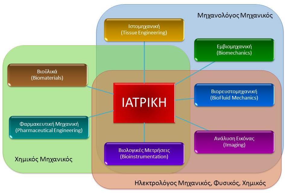 1.1 Βιοϊατρική Μηχανική (Biomedical Engineering) Ο κλάδος της βιοϊατρικής μηχανικής τοποθετεί στο κέντρο του την ιατρική.