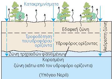 καταλήξει τελικά σε ένα υδατόρευμα. Ένα άλλο τμήμα του νερού, μπορεί να διηθηθεί πιο βαθιά και να τροφοδοτήσει υπόγειους υδροφορείς.