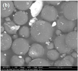 αιµατίτη 0.91wt%. EDAX ZAF Quantification (Standardless) Element Wt % At % C 93.35 94.93 O 6.65 5.07 Total 100.