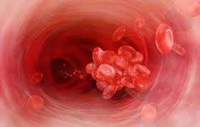 Η μελέτη της λειτουργικότητας των αιμοπεταλίων και η συσχέτιση αυτής με την αρτηριακή σκληρία σε