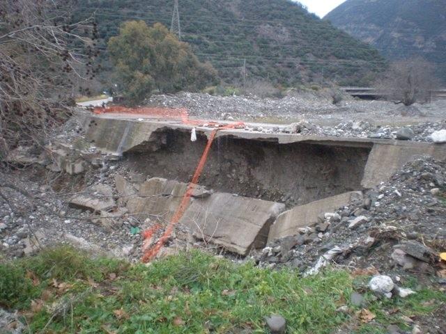 Συχερό το πτηνό, στην πρωινή του αυτή συνάντηση, αφού βρέθηκε στη συνέχεια με ασφάλεια στα χέρια των τεχνικών.