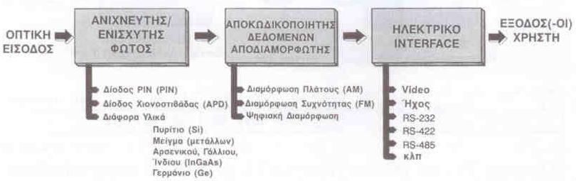 Ο δζκτθσ αποκωδικοποιεί τα ςιματα φωτόσ ςε θλεκτρικά ςιματα.