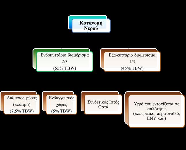 Κατανοµή Ύδατος στον οργανισµό R. Johnson & J. Feehally & J.