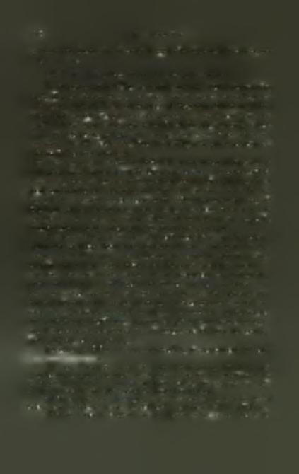 Τοϋτο έχει διαστάσεις 0,087X0,11 καί είναι χρώματος κιτρίνου μετά καστανών κηλίδων.