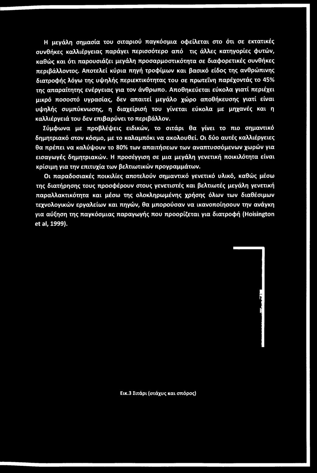 Αποτελεί κύρια πηγή τροφίμων και βασικό είδος της ανθρώπινης διατροφής λόγω της υψηλής περιεκτικότητας του σε πρωτεΐνη παρέχοντάς το 45% της απαραίτητης ενέργειας για τον άνθρωπο.