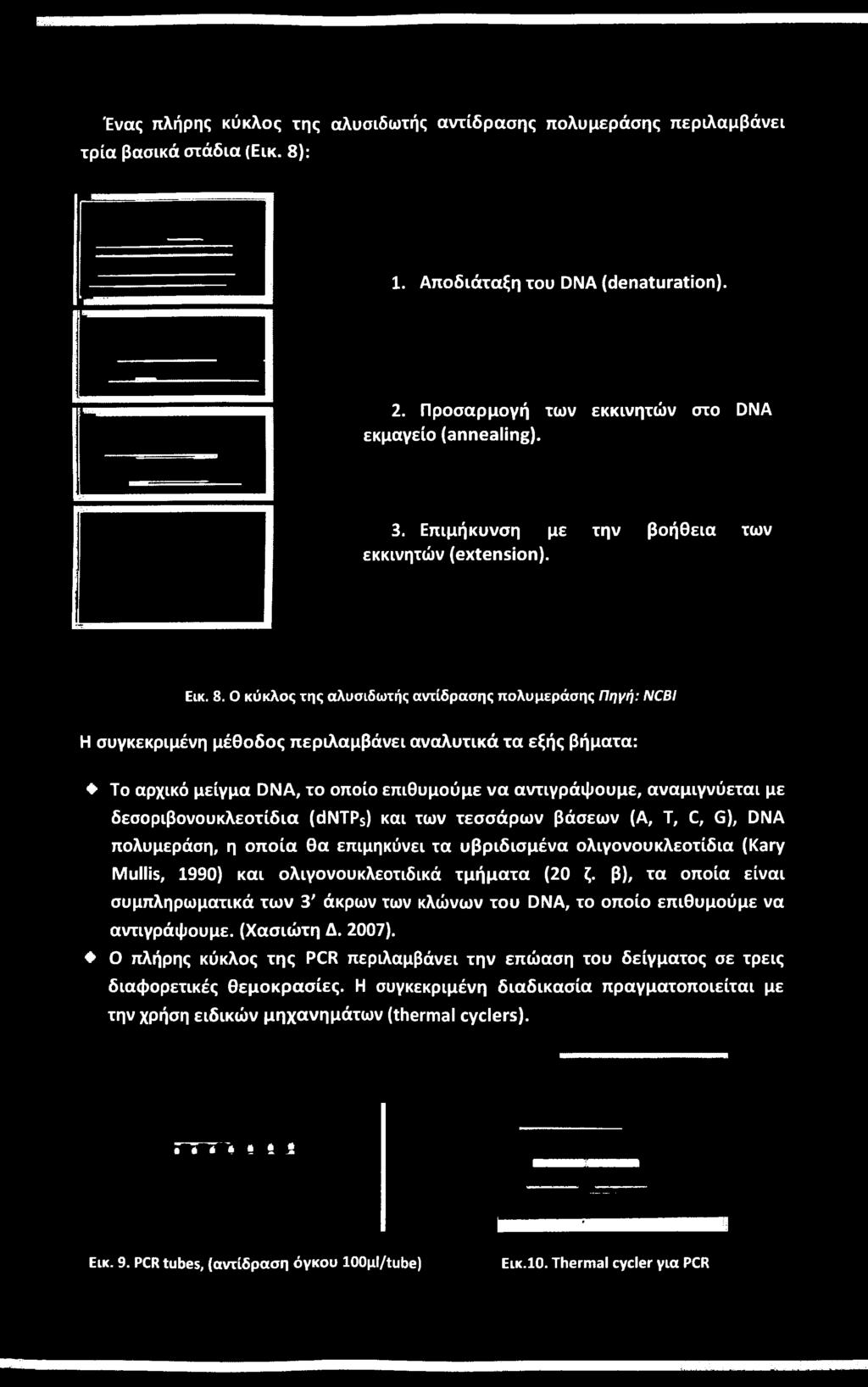 Mullis, 1990) και ολιγονουκλεοτιδικά τμήματα (20 ζ. β), τα οποία είναι συμπληρωματικά των 3' άκρων των κλώνων του DNA, το οποίο επιθυμούμε να αντιγράψουμε. (Χασιώτη Δ. 2007).