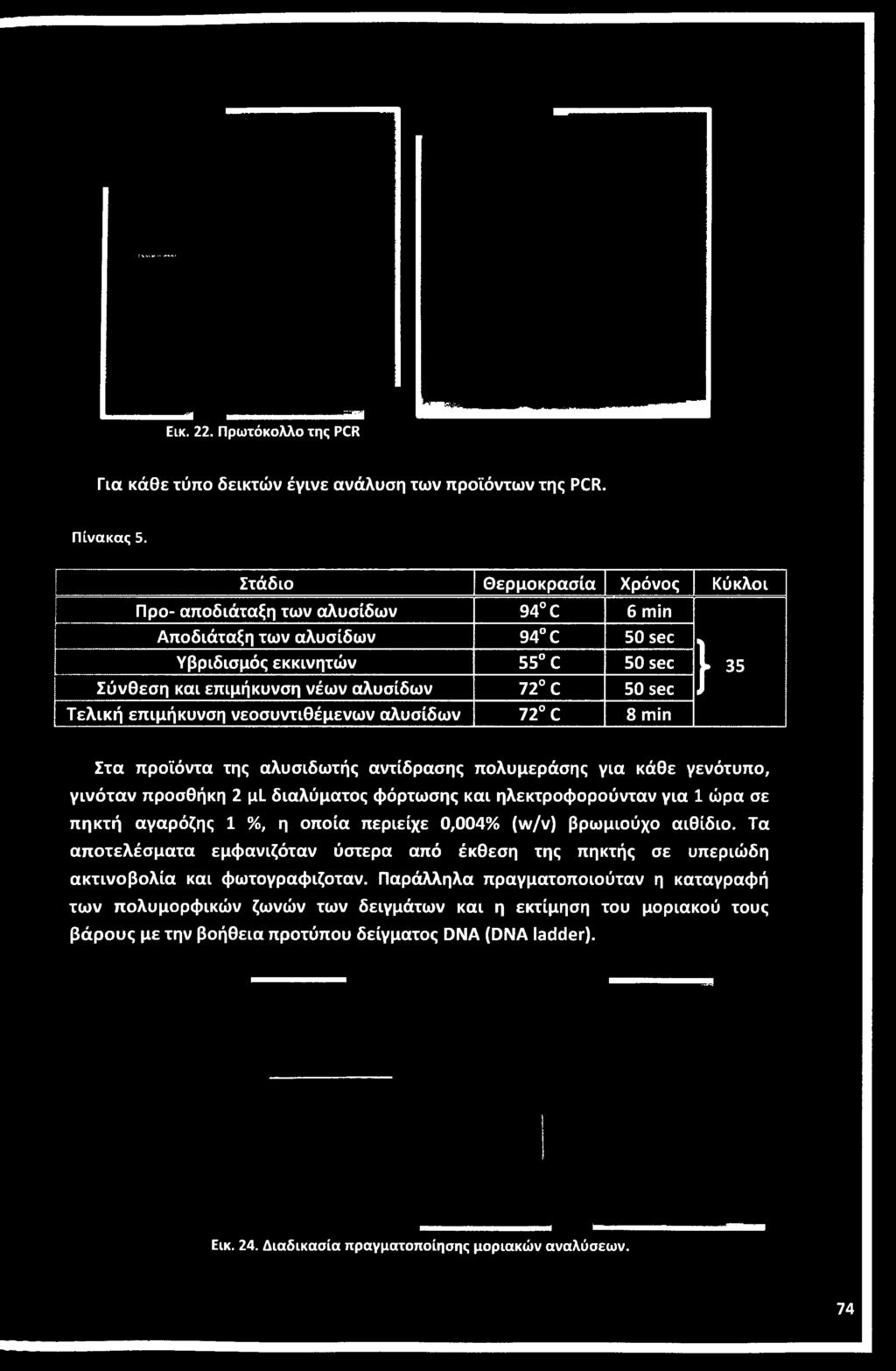 0,004% (w/v) βρωμιούχο αιθίδιο. Τα αποτελέσματα εμφανιζόταν ύστερα από έκθεση της πηκτής σε υπεριώδη ακτινοβολία και φωτογραφιζόταν.