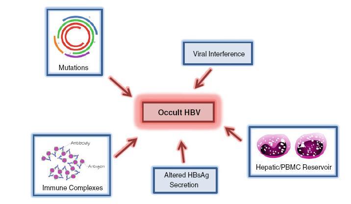 Λανθάνουςα - Κρυπτική Ηπατίτιδα Β Ιαιμία - HBV DNA θετικό και αρνητικό HBsAg αρνητικο Εξαρτάται από τθν ευαιςκθςία των μεκόδων και τθν επίπτωςθ τθσ