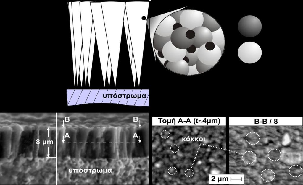 Σχήμα 2.4: Κιονοειδής κρυσταλλοδομή PVD επικάλυψης και μεγέθη κόκκων για διάφορα πάχη τους.