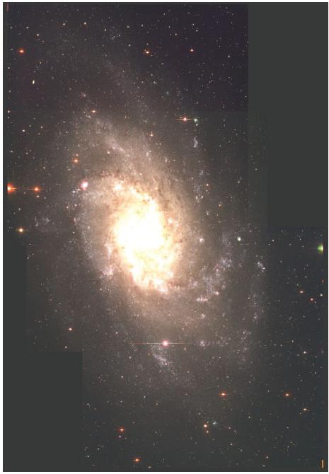 Figure 3.6: Ο Μ31 με τα πεδία παρατήρησης (Massey et al. 2006).