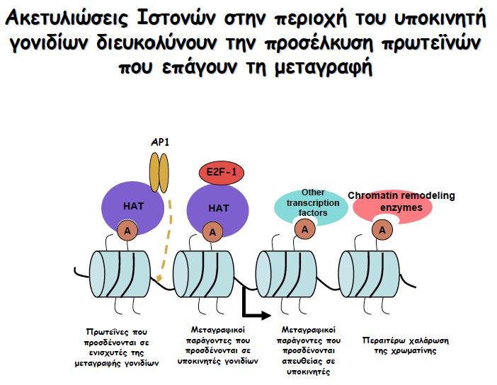 Ακετυλίωση