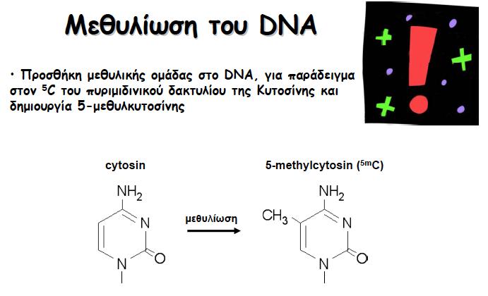 Μεθυλίωση του