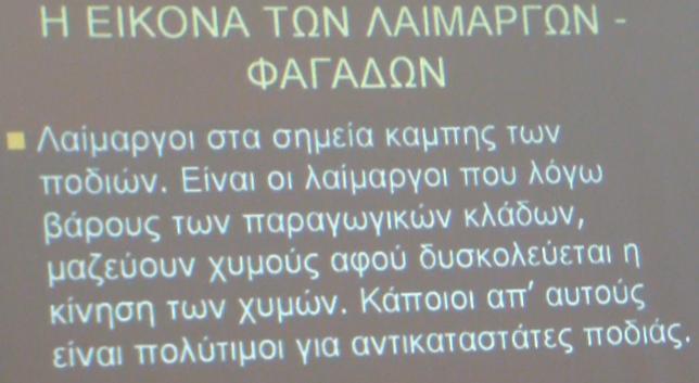 Τεχνικές