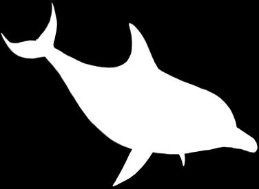 Ζώα της θάλασσας Ταυτότητες Δελφίνι Σαρδέλα Σουπιά Το δελφίνι είναι θάλασσιο θηλαστικό.το μέγεθός του φτάνει στα 1,2μ. μέχρι τα 9,5μ. και το βάρος του ξεκινά από τα 40κ.