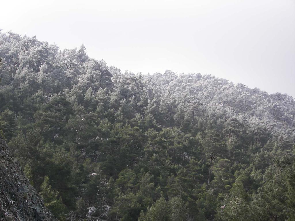 ΑΛΛΑΓΕΣ ΠΟΥ ΕΠΗΡΕΑΣΑΝ ΤΟ ΜΕΣΟΓΕΙΑΚΟ ΚΛΙΜΑ ΠΑΓΕΤΩΝΕΣ: Πτώση Θερμοκρασίας μετατόπιση κλιματικών ζωνών Στέπες στο Μεσόγειο παγίδευση ειδών λόγω Σαχάρας και θάλασσας Μεγάλη η βιοποικιλότητα λόγω: 1.