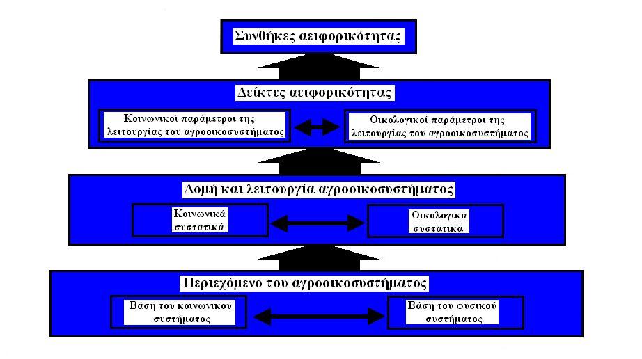 Η αλληλεπίδραση μεταξύ των κοινωνικών και