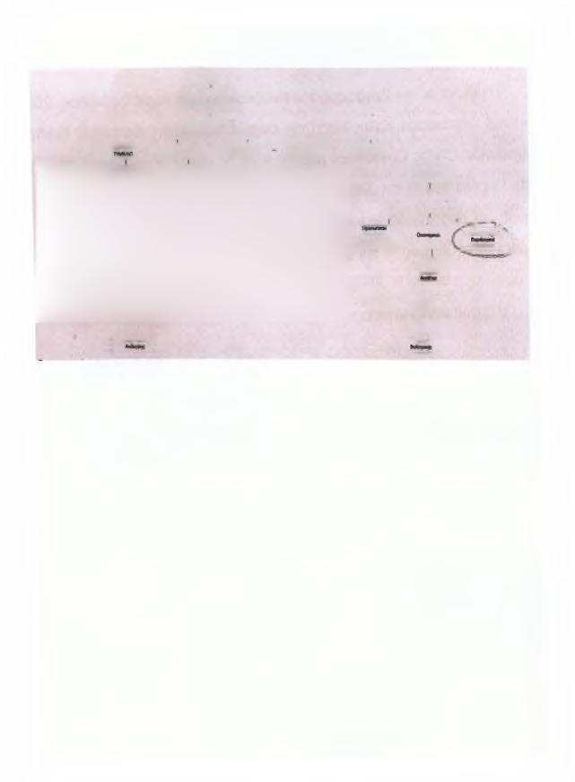 Γ -Ν.Κ.