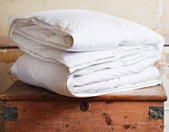 Comforters ΠΑΠΛΩΜΑΤΑ Comforter White goose down 90% goose down, 10% goose feather 260Gsm 100% Cotton