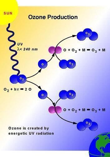 Θ ω ί Chapman Ox (O3+O) (1) O2 + hv O + O (ζξ242 nm) +2 (2) O + O2 + M O3 + M 0 (3) O3 + hv O + O2 0 (4) O + O3 2 O2-2 (O + O + M O2 +