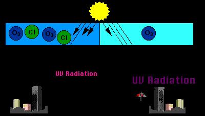1. Απελευθέρωση CFC 2. Ανύψωση των CFC στο στρώμα του όζοντος 3. Η ακτινοβολία UV απελευθερώνει Cl από τα CFC 4. Το Cl καταστρέφει το όζον 5. Μειωμένο όζον περισσότερη UV 6.