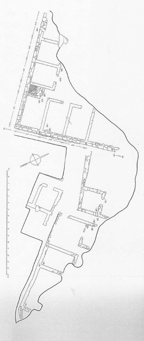 Εικ. 28: Σχέδιο των τοίχων των Οικιών Ι,