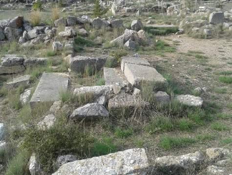 οποίοι εισέρχονται στην αυλή, λήψη από νότο). Εικ.