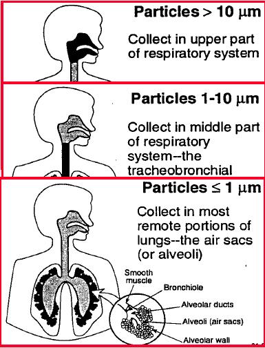 Επιπτώσεις Μια από τις σημαντικές επιπτώσεις των αερολυμάτων σχετίζεται με την εισπνοή τους και τους κίνδυνους που την συνοδεύουν. Αυτές είναι αρκετά δυσοίωνες.