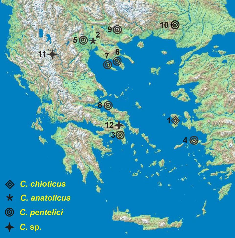 4. Γεωγραφική και βιοστρωματογραφική εξάπλωση στην Ελλάδα Σχήμα 4.3. Θέσεις εύρεσης του Choerolophodon στην Ελλάδα. 1. Θυμιανά, Χίος (Tobien 1980a) 2. Πεντάλοφος, κοιλάδα Αξιού 3.