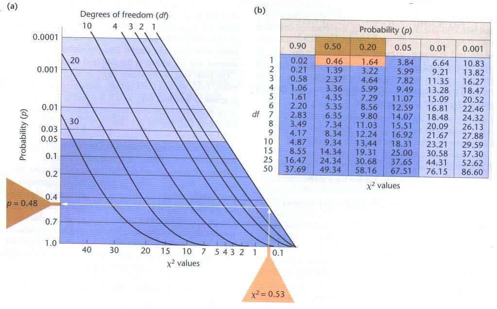 Θεώρημα των Hardy-Weinberg df= βαθμοί ελευθερίας df = # γενότυποι -1 Χ ( o = e e 2 2 ) G = 2 i= 1 j i ε ij ο ij ln οij Χ 2