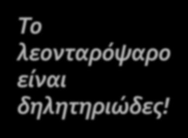 Το λεονταρόψαρο είναι δηλητηριώδες!