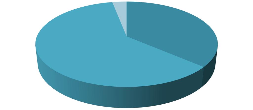 19) ( ) ; ; / ; 20; 12% ; ; 40; 23% ; / ; 110; 65% (