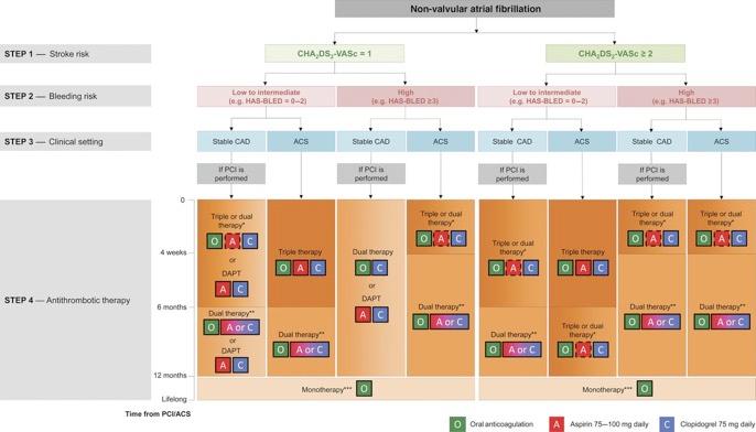 Choice of antithrombotic therapy, including combination strategies of oral anticoagulation (O), aspirin (A) and/or clopidogrel (C). Task Force Members et al.